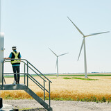Working man looking at a wind power field