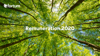Image of the Remuneration 2020 cover