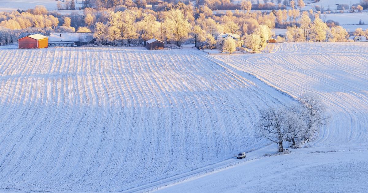 Fortum tukee EPZ:tä Hollannin Borsselen ydinvoimalan käyttöiän pidennystutkimuksessa